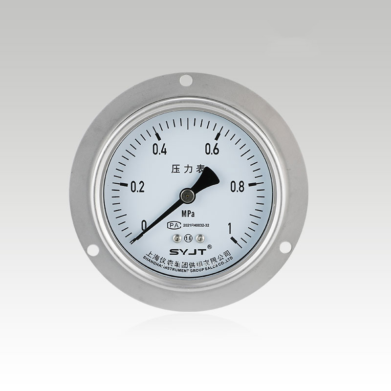 轴向带边不锈钢压力表