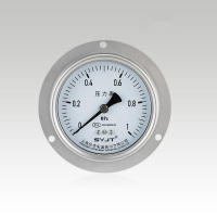 轴向带边不锈钢压力表