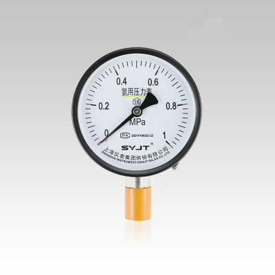YA-100氨用压力表