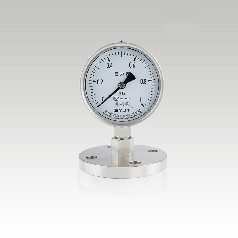 Y-100BF-MF法兰安装隔膜压力表