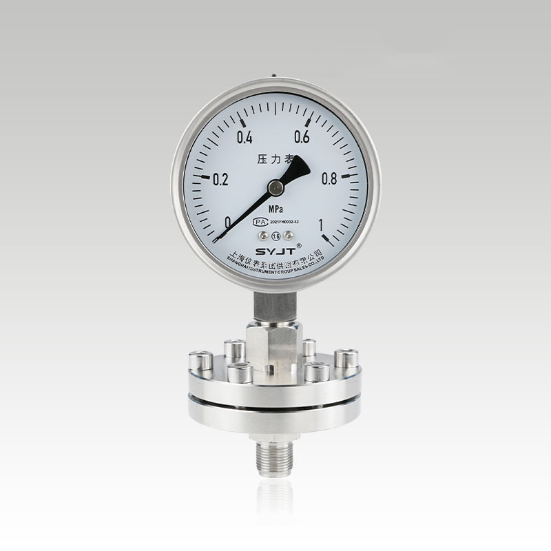Y-100BF-ML螺纹安装隔膜压力表