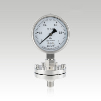 Y-100BF-ML螺纹安装隔膜压力表